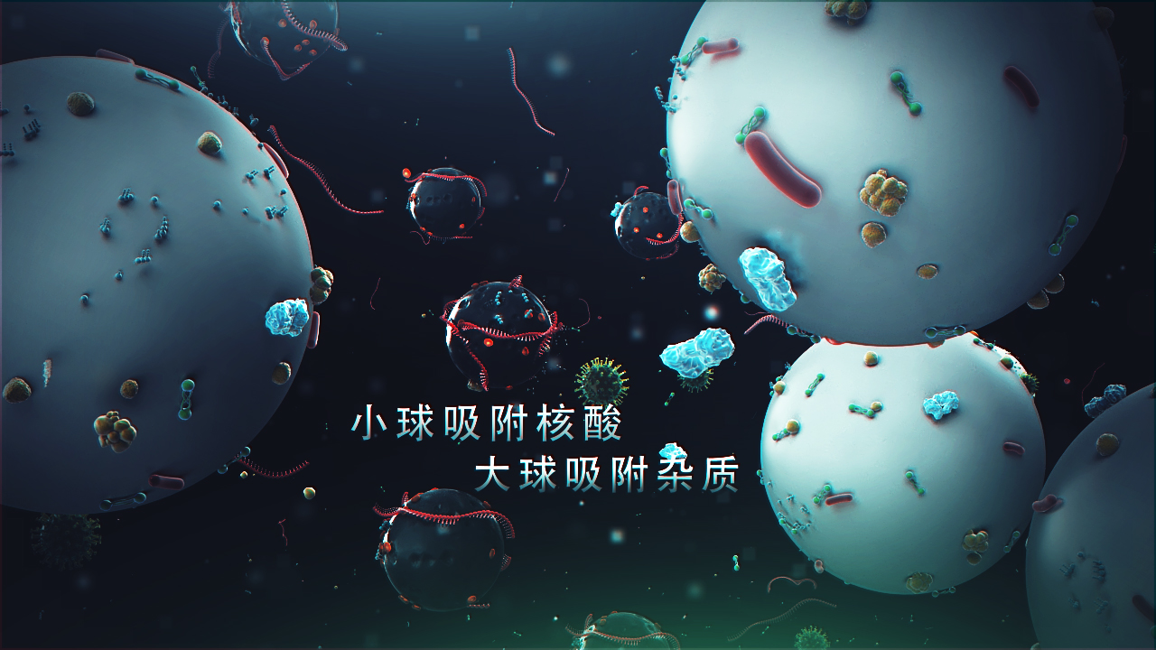 邁維動漫簽約上海速創診斷產品有限公司冠狀病毒檢測醫學醫療三維動畫制作(圖3) 邁維動漫簽約上海速創診斷產品有限公司冠狀病毒檢測醫學醫療三維動畫制作(圖3)