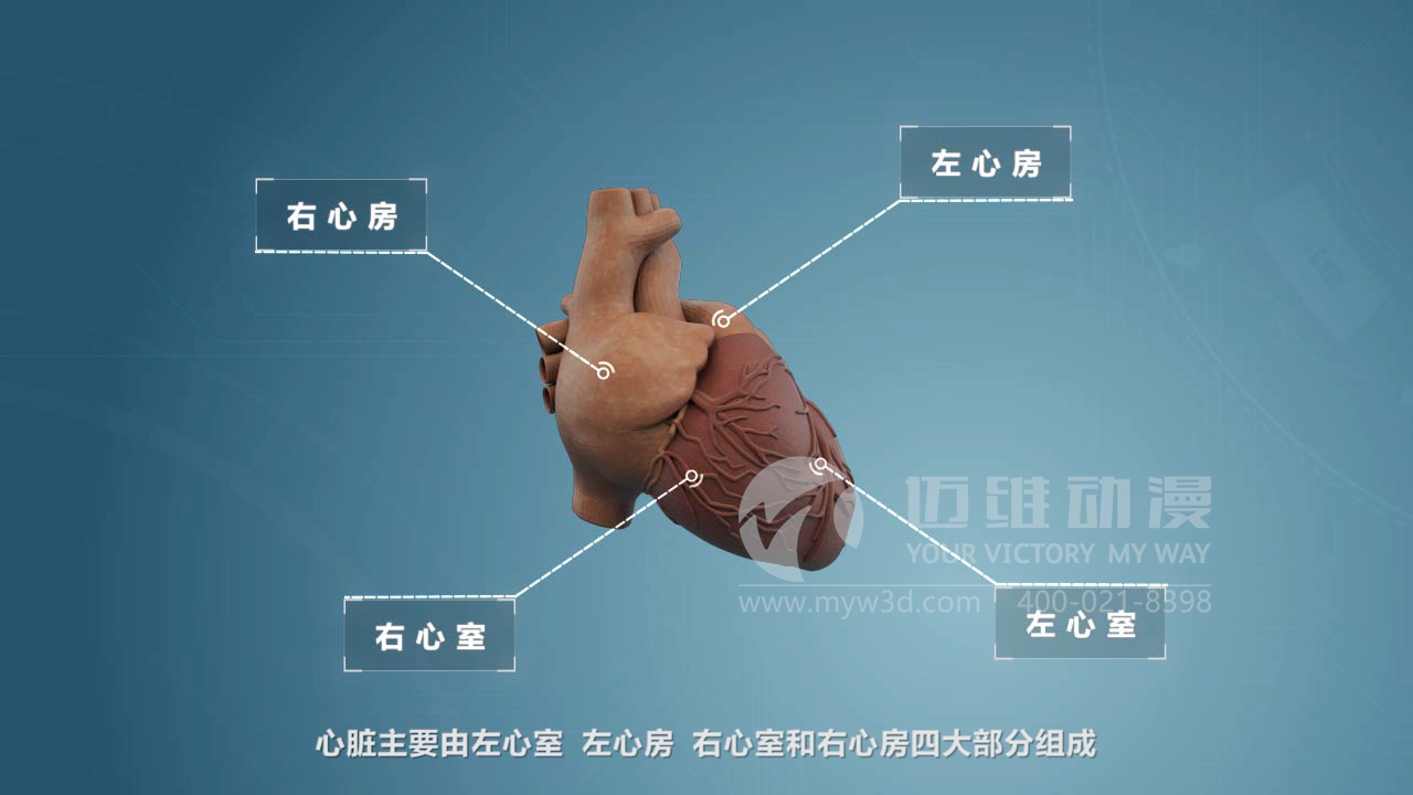 醫療器械三維動畫制作