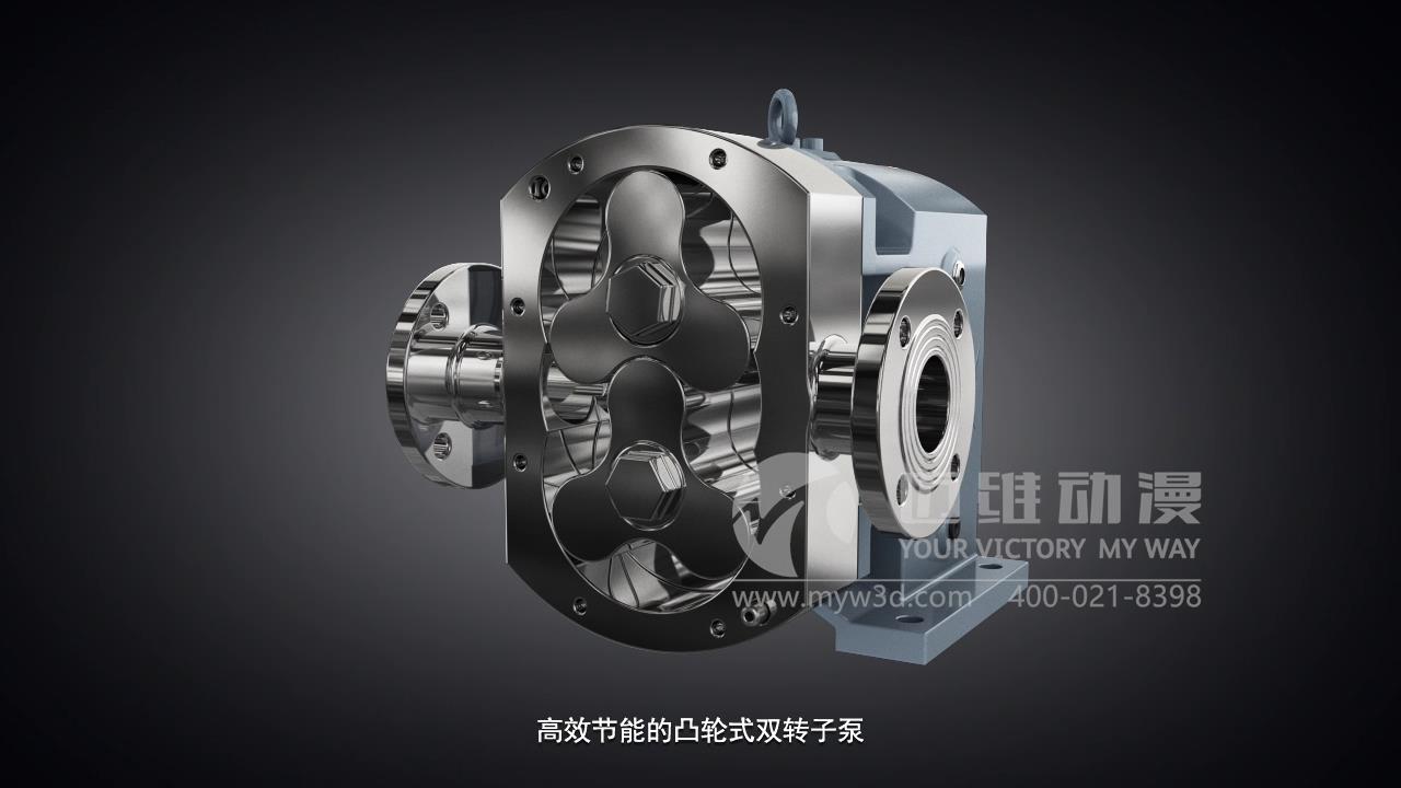 凸輪式轉子泵三維動畫展示.jpg