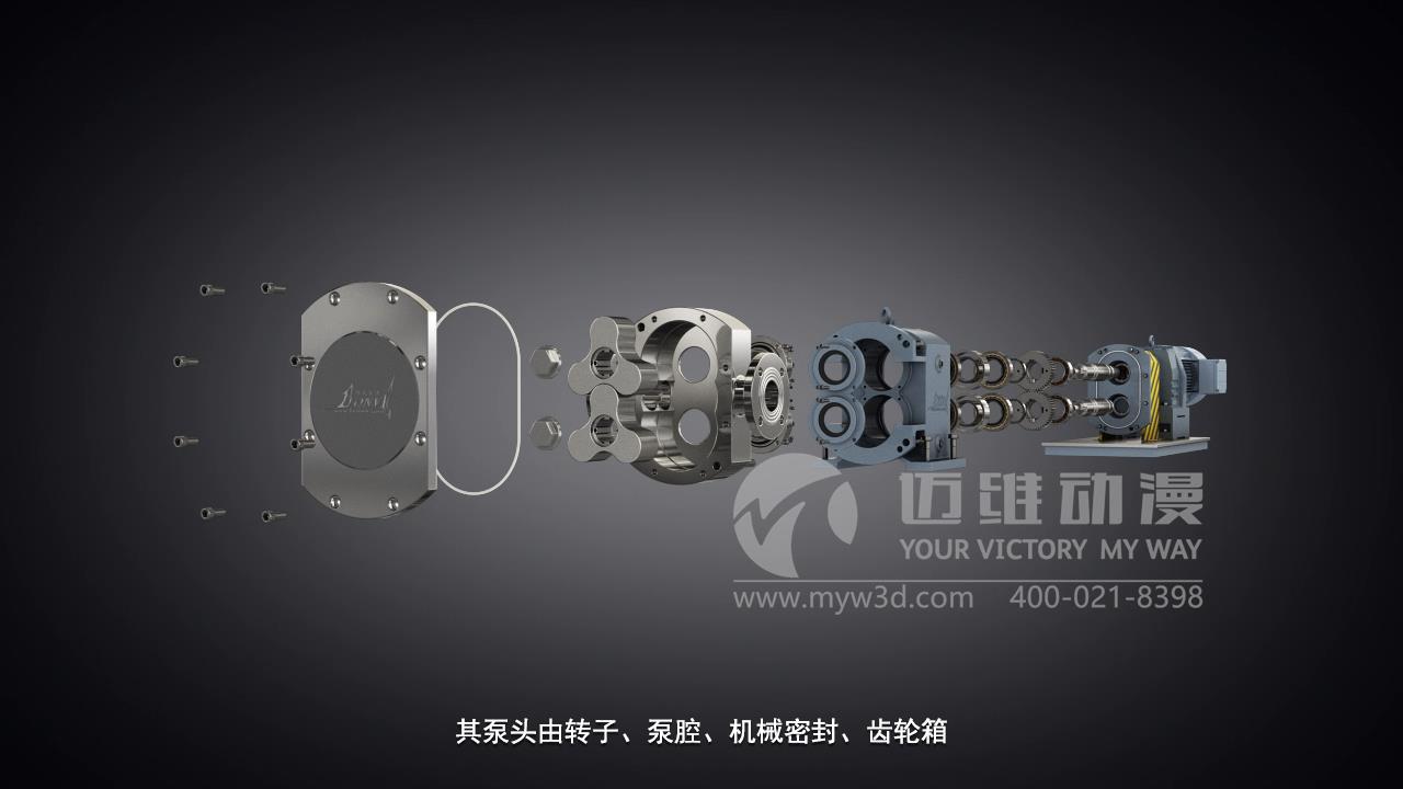 凸輪式轉子泵三維動畫展示.jpg