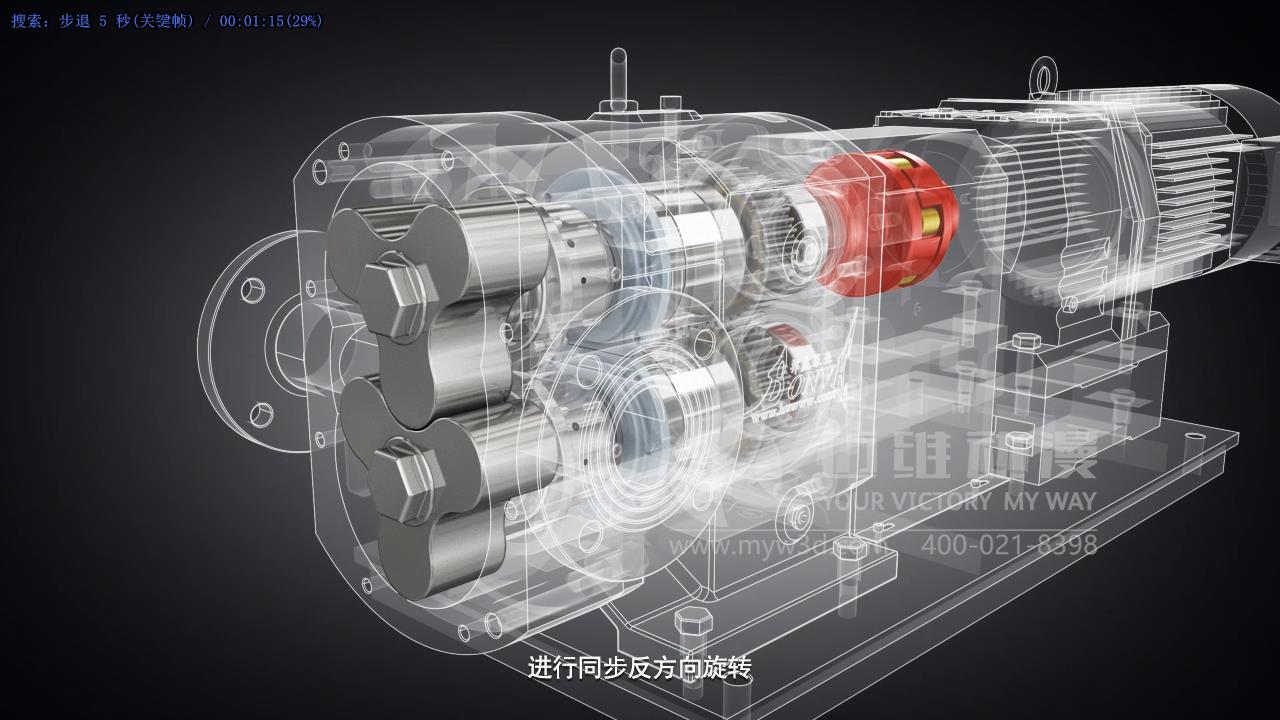 凸輪式轉子泵三維動畫展示.jpg