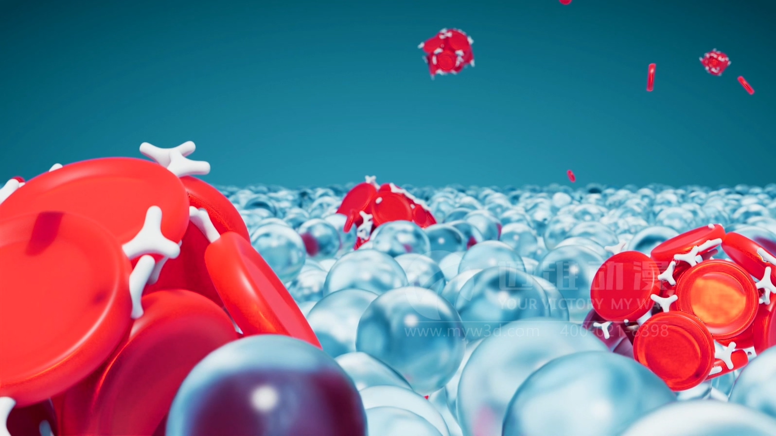 全自動血型分析儀產品三維動畫(圖3)