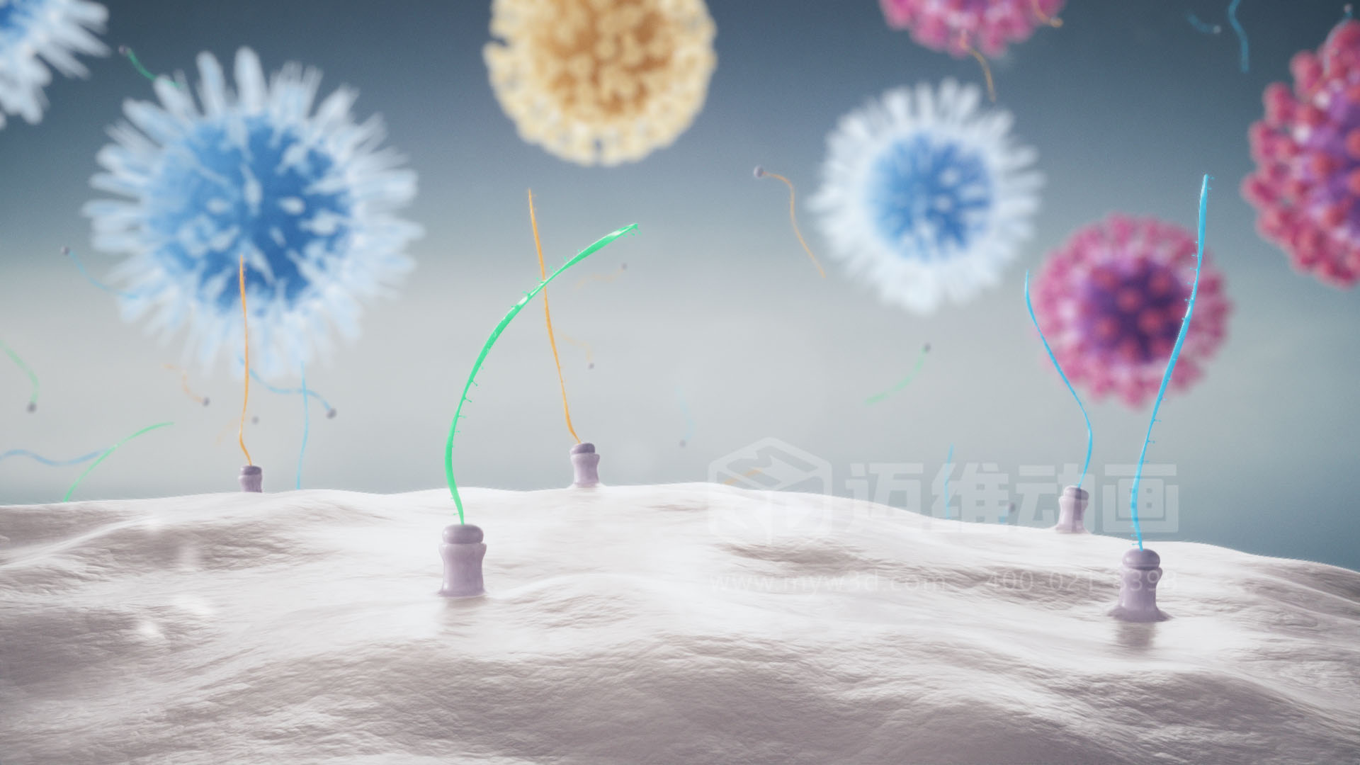 醫療分子生物學三維動畫(圖2)