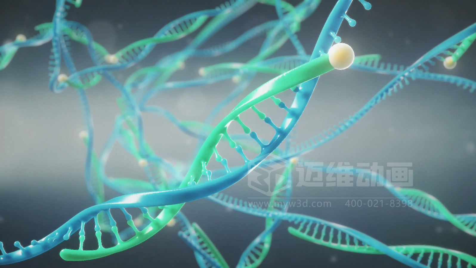 微觀(guān)世界竟能“動(dòng)”起來(lái)？生物科技三維動(dòng)畫(huà)帶你沉浸式探索生命奧秘(圖3)